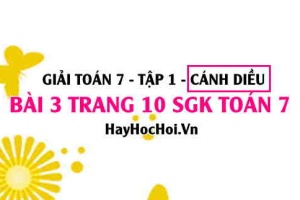 Giải bài 3 trang 10 Toán 7 Tập 1 SGK Cánh Diều